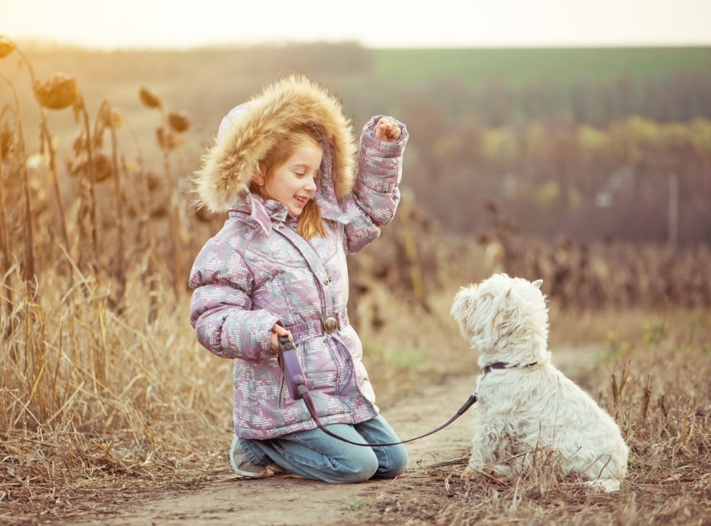 happy girl with her dog breed white terrier walking in a field in autumn