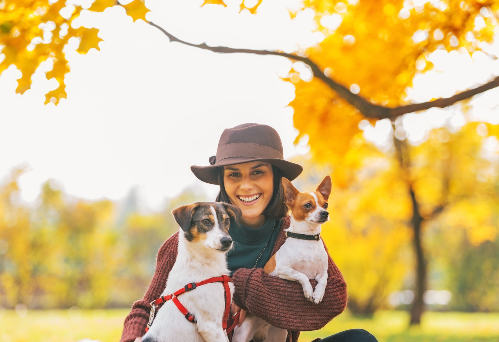Top 10 Dog Friendly Vacation Ideas Oregon | HealthyPets Blog