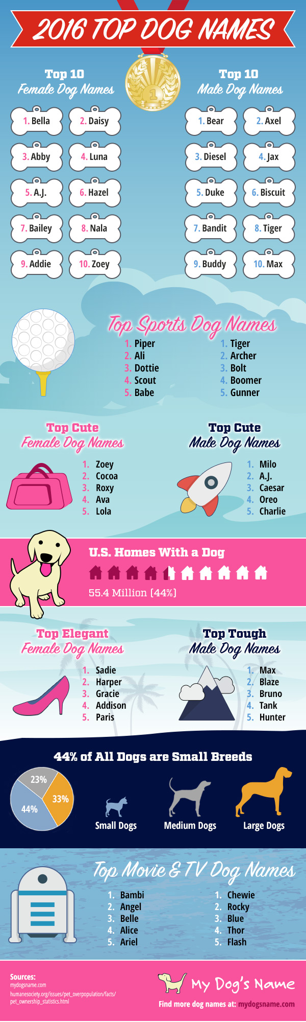 Top Dog names. Dogs names male. Dog names 2022. Female Dogs name. Dogs s names are