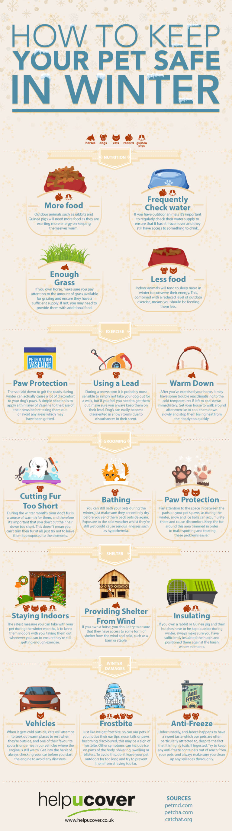 How To Keep Your Pet Safe In Winter | HealthyPets Blog
