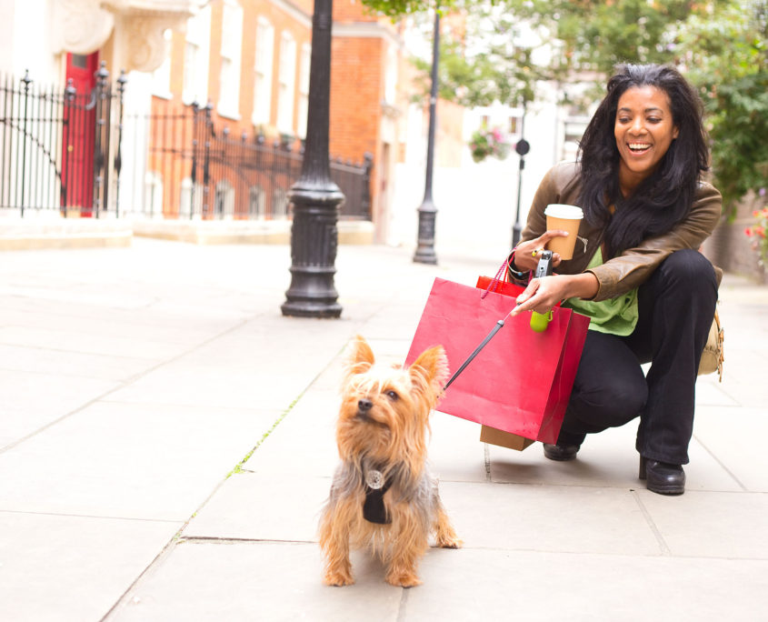 woman with dog and shopping bags