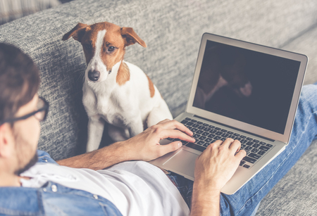 handsome man in eyeglasses is using a laptop while lying on couch at home. cute dog is looking at his guardian