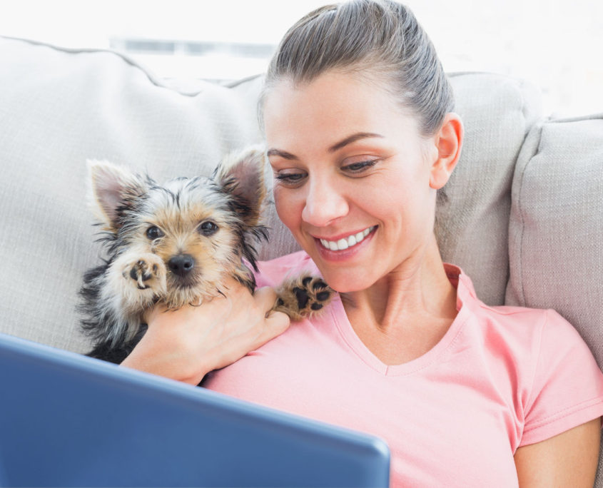 pretty woman using tablet with her yorkshire terrier at home in the living room