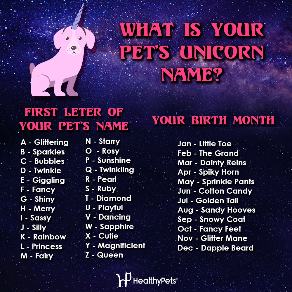 What Is Your Pet S Unicorn Name Healthypets Blog