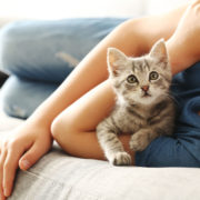 child with kitten on grey sofa at home