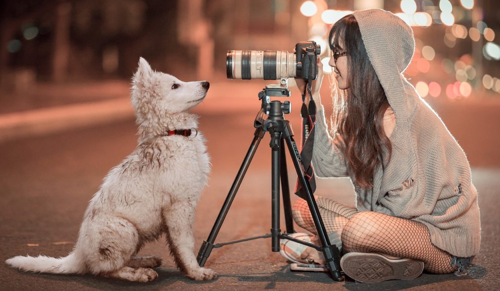 11 Ways to Make Your Dog's Instagram More Popular HealthyPets Blog