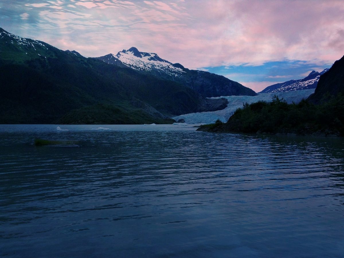 5 Facts About Alaskan Klee Kai